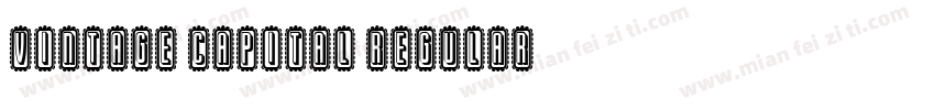 Vintage Capital Regular字体转换